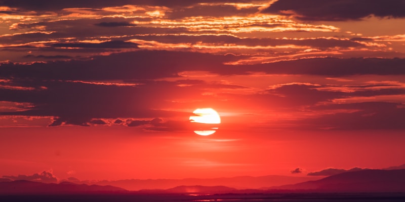 多屏幕显示不同体育赛事直播画面的控制中心